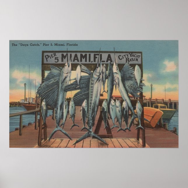 Póster Miami, Flórida - Vista do Cais 5 com Peixes Captur (Frente)