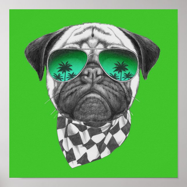 Poster Miami Pug (Frente)