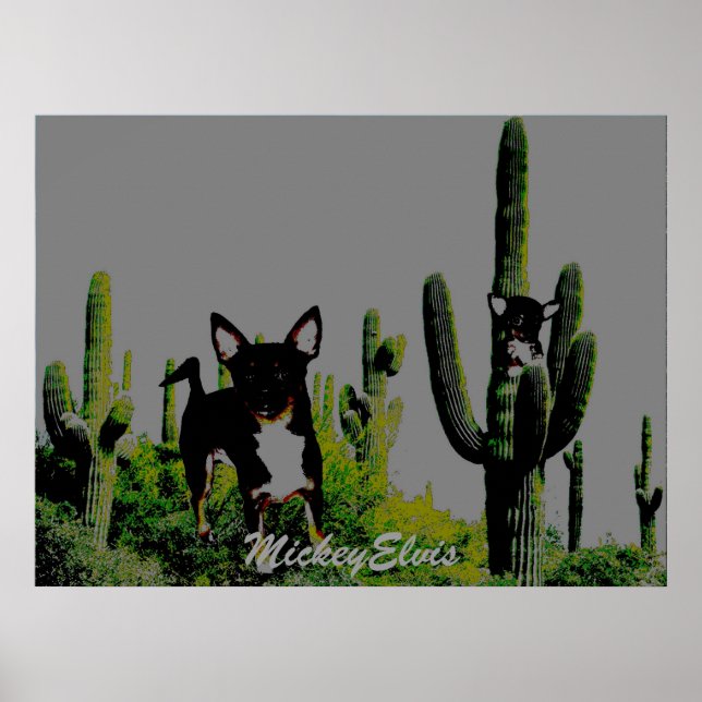 Póster MickeyElvis bonito (Frente)