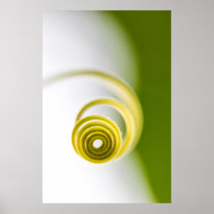 Poster Micro fotografia do caule vegetal