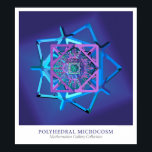 Poster Microcosmo poliedral<br><div class="desc">Microcosmo poliedral por Michael Trott. Parte da Coleção Galeria de Mathematica de Pesquisa Wolfram.</div>