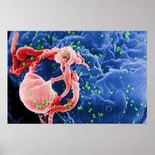 Póster Micrografia de elétron do linfócito HIV-1 de