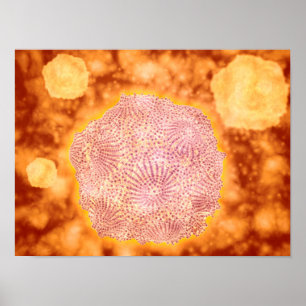 Póster Microscopic View Of Canine Parvovirus 1