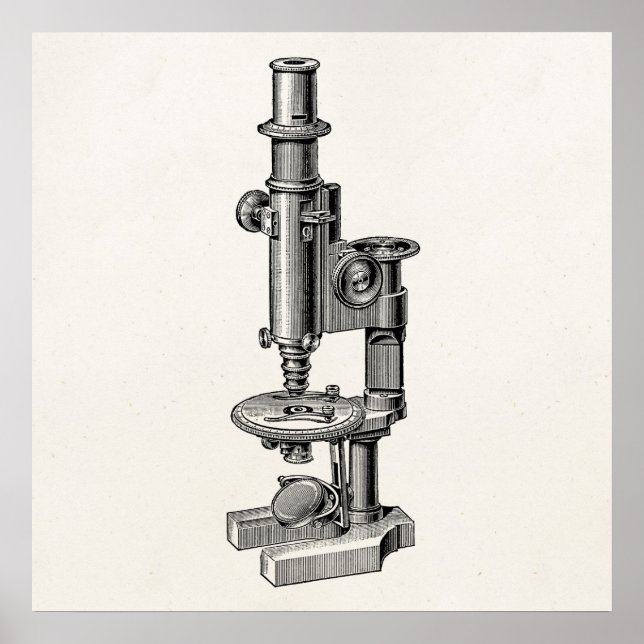 Poster Microscópios Vintage Antigo Microscópio de Ciência (Frente)