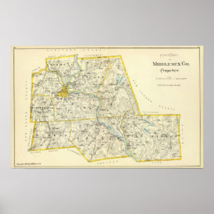 Póster Middlesex Cd