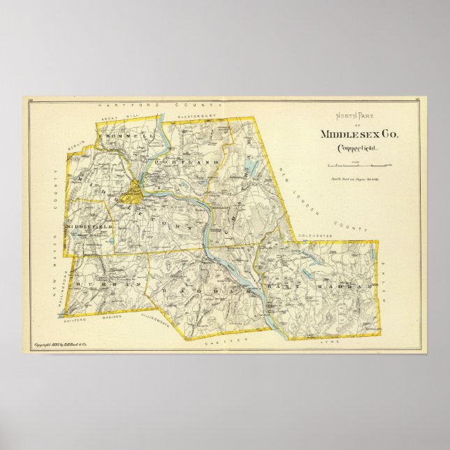 Póster Middlesex Cd (Frente)