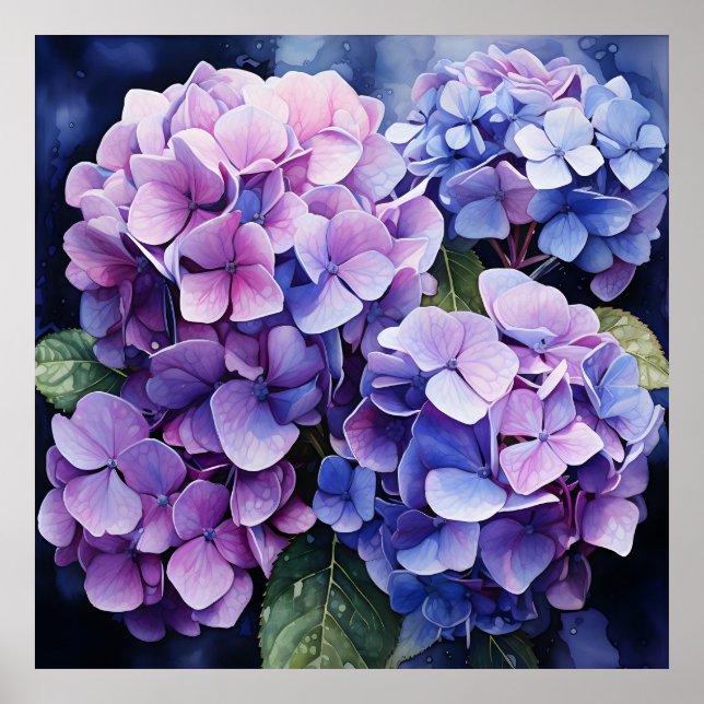 Poster Midnight Garden Violet Hydrangea Watercolor (Frente)