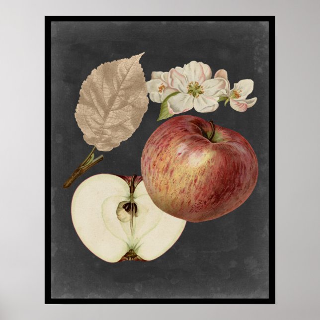 Póster Midnight Harvest II (Frente)