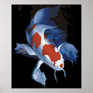 Poster Mighty Koi