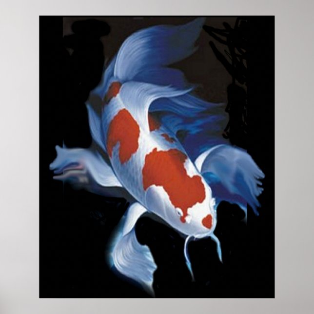 Poster Mighty Koi (Frente)