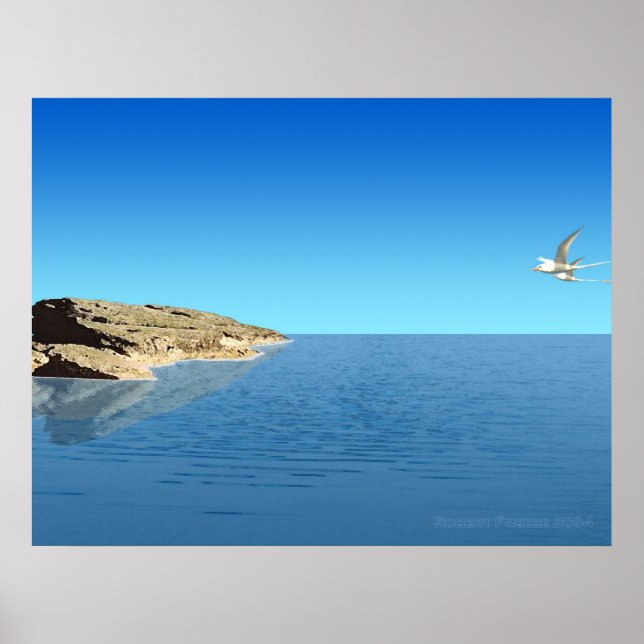 Póster Migração (Frente)