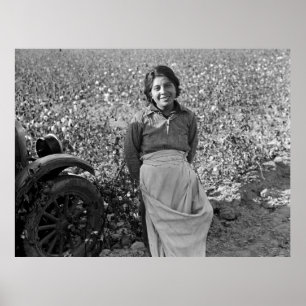 Póster Migrant Worker in Cotton Field por Dorothea Lange