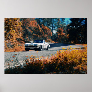 Póster Mil pepres dowhill (Raça Mexicana)