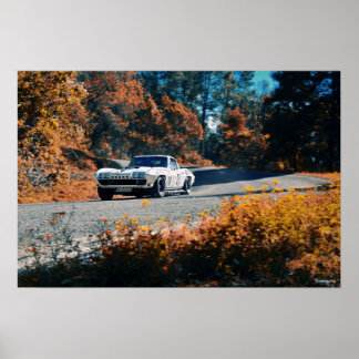 Póster Mil pepres dowhill (Raça Mexicana)