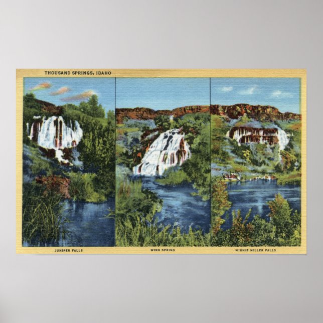 Póster Mil Primaveras, ID - Juniper, Wing e Minnie (Frente)