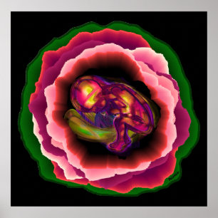 Poster Milagre da Vida