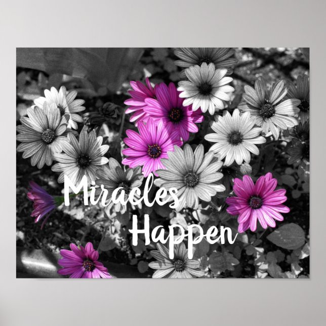 Poster Milagres Acontecem Daisy Flores Inspiradoras (Frente)
