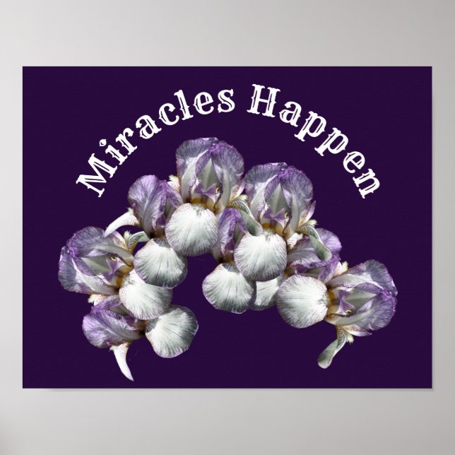 Poster Milagres acontecem Flores Iris Inspiracionais (Frente)