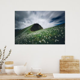 Poster Milhares de narcisos em Golica, Eslovênia