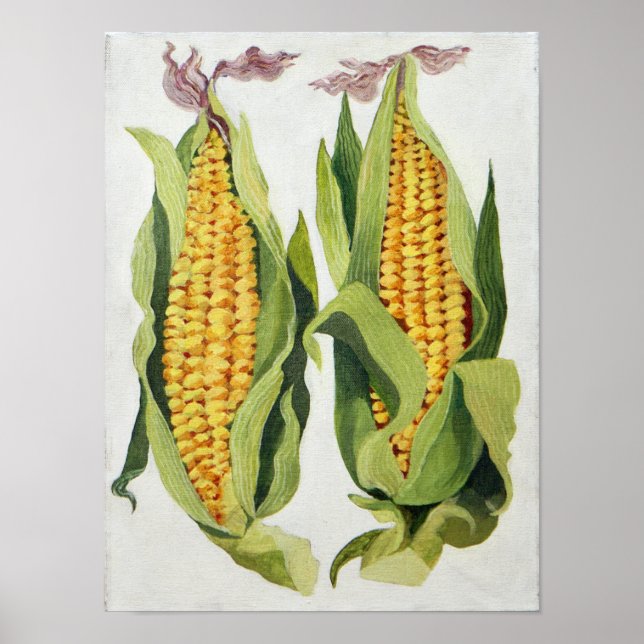 Póster Milho doce 2013 (Frente)