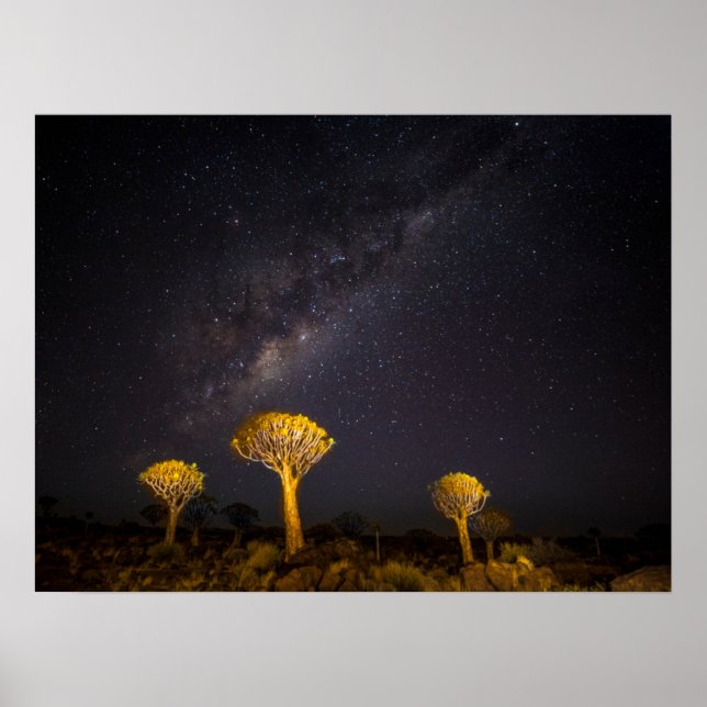 Poster Milky Way Quiver Tree | Keetmanshoop Namibia (Frente)