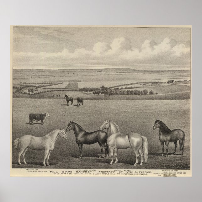 Póster Mill Brae Ranch, Kansas (Frente)