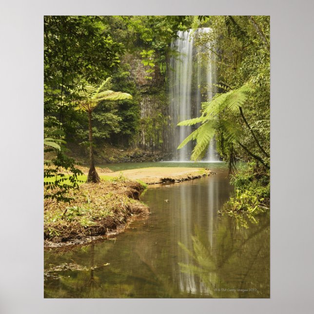 Póster Millaa Millaa Falls, Atherton Tableland (Frente)