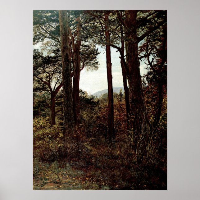 Poster Millais - Scotch Firs 1873 (Frente)