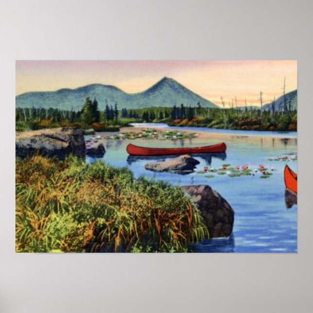 Póster Millinocket Maine Little NesowadnehunkLake Lily Pa (Frente)