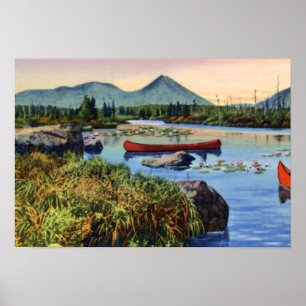 Póster Millinocket Maine pouco Pa do lírio de