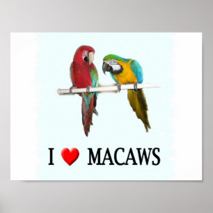 Póster Mim do "Macaws coração