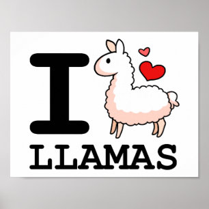 Póster Mim lamas do lama