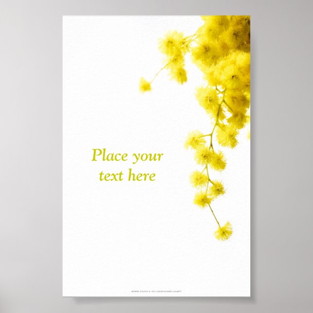 Poster Mimosa (Frente)