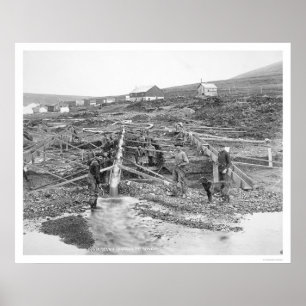 Póster Mina Dourado Alaska 1916 da angra do batente
