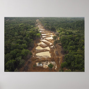 Poster Mineração Dourada aluvial. Floresta tropical, Gu