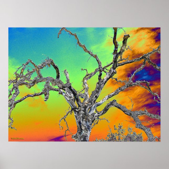 Póster minha árvore psicodélica favorita (Frente)