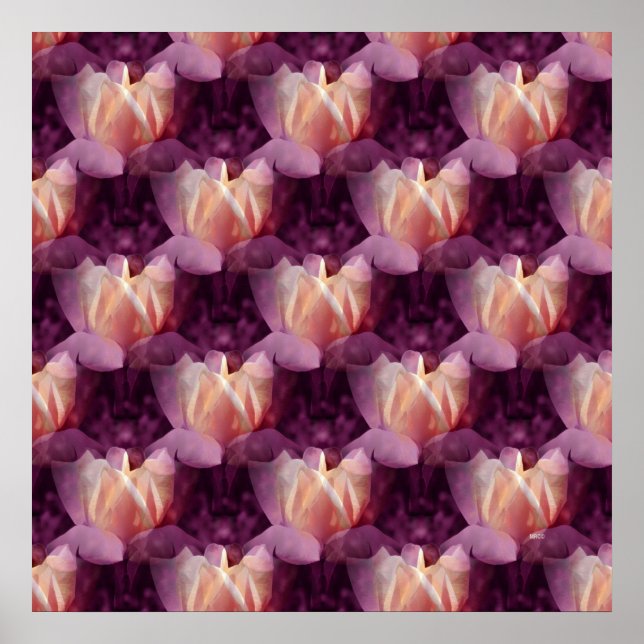 Poster Minha cama de Rosa.... (Frente)