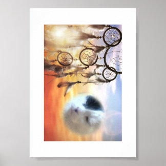 Poster Minha garota maravilhosa (Spotty)