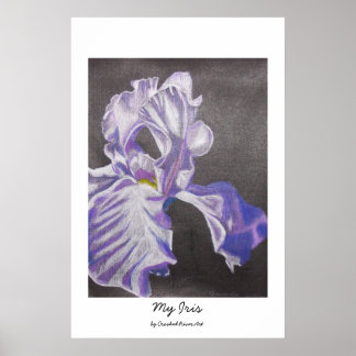 Poster Minha Íris