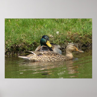 Póster Minha Linda Menina