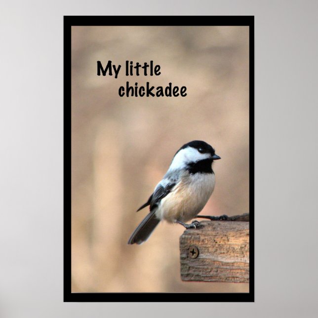 Poster Minha pequena galinha (Frente)