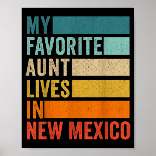 Poster Minha Tia Favorita Mora No Novo México Vintage