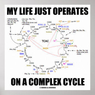 Póster Minha Vida Apenas Funciona Em Um Ciclo Complexo (K
