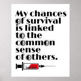 Poster Minhas Chances de Sobreviver