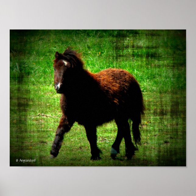 Poster Mini Filly (Frente)