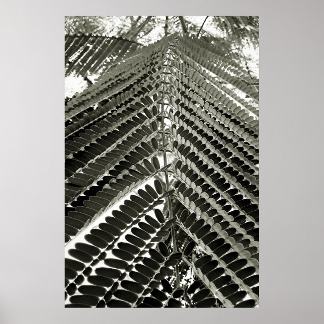 Poster mini folhas (Frente)