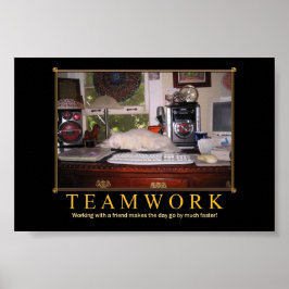 Poster Mini Gatinho do trabalho em equipe