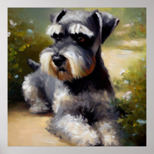 Poster Miniatura - Cão Schnauzer