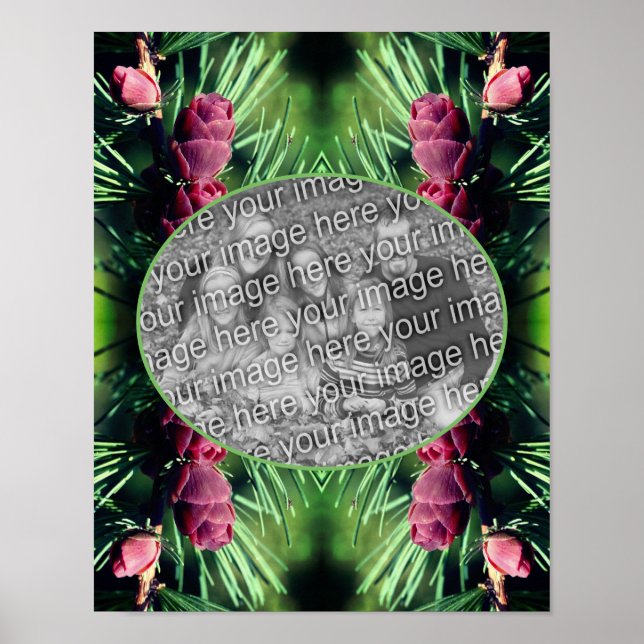 Poster Miniatura Pine Cones Frame Crie sua própria foto (Frente)