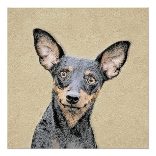 Póster Miniatura Pinscher Pintando Bela Arte Original de